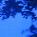 marjorelle gardens