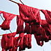 wool hung out to dry