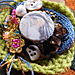 the magpie nest
