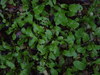 Dsc00112_2