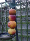 Dsc00113_2