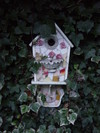 Dsc00118
