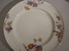 Dsc00131 Dsc00131