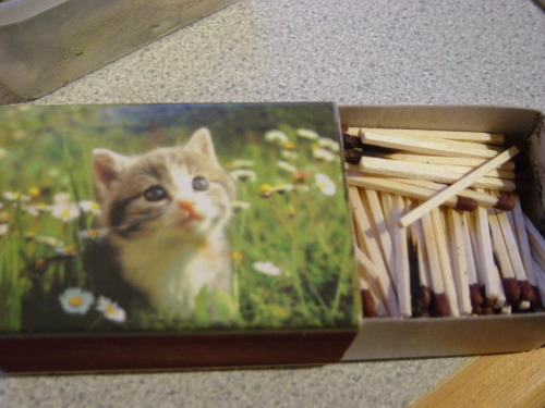 lidl matches