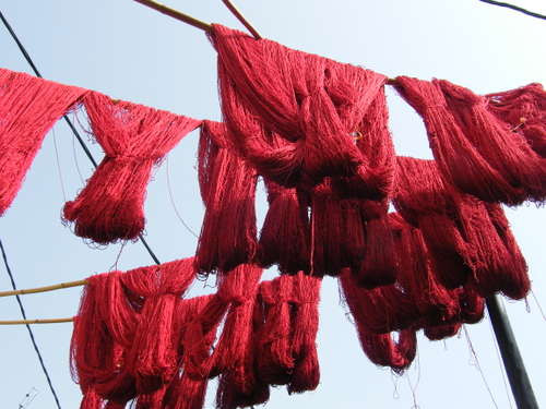 wool hung out to dry