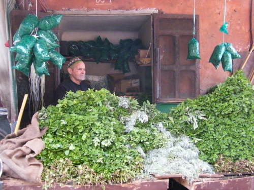 mint for tea