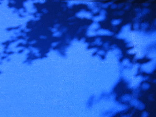 marjorelle gardens