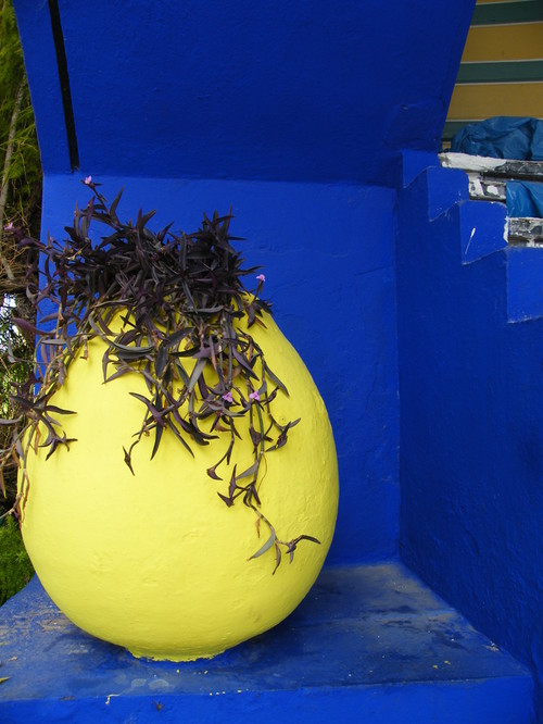 blue,blue and yellow